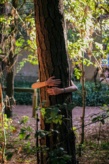 person holding and hugging a tree trunk, concept for ecologism, activism, green peace, enviromental issues