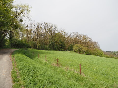 Naturschutzgebiet - Hangflächen bei Gräfinthal