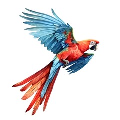 Fototapeta premium Illustration of macaw bird flight in hand drawn watercolor style isolated on white background.