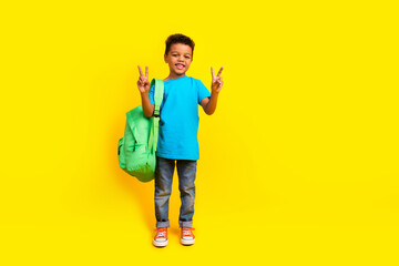 Full body photo of positive smart small child dressed blue t-shirt jeans hold bag showing v-sign isolated on vibrant yellow background