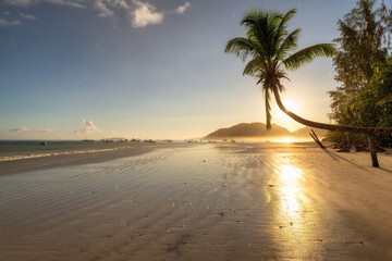 Tropical beach in raining time with coco palms and the turquoise sea at sunrise on Seychelles island.	