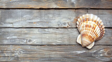 Beautiful artistic shell on rustic wooden board background. AI generated image