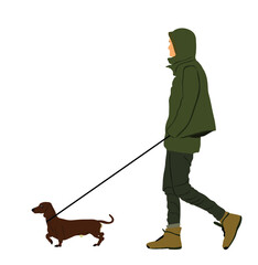 Urban boy walking Dachshund dog on the leash vector illustration isolated on white background. Owner handsome man with cute pet ground hunter dog. Male walk in raincoat outdoor relaxation after work.