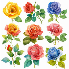 A collection of watercolor roses in rich colors and detailed brushwork, highlighting different hues.