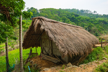 Fototapeta na wymiar Original village thatched house in Chubao Village, Wuzhishan City, Hainan, China