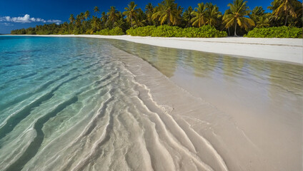 Beautiful Cook Islands White Sand Beach 
