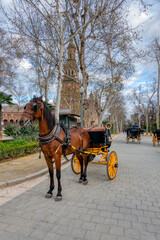Horse-drawn carriages carrying tourists through the Plaza de España, in Seville, Andalusia, Spain