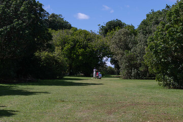People enjoying a day in a park in autumn
