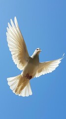 A white bird flying in the sky with its wings spread. Generative AI.