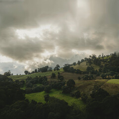 Moody, gray and green rural landscape (squared)