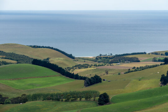 New Zealand: View of Tavora Reserve, home to the endangered yellow-eyed penguin (hoiho, Megadyptes antipodes) from Puketapu mountain in coastal Otago. Pacific Ocean is in the background.