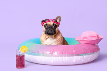 Cute French bulldog with swimming glasses, hat, inflatable ring and glass of cocktail on purple background