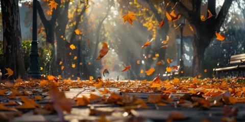 Foto op Canvas autumn leaves falling Autumn forest with floating leaves and soft sunlight maple leaves on an autumn  beautiful long road in autumn season is lined with trees bearing colorful leaves Park landscape fa © Muhammad