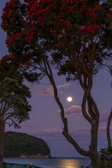 Whangamata Beach, where the sun gracefully sets, casting warm hues across the sky, and a full moon rises