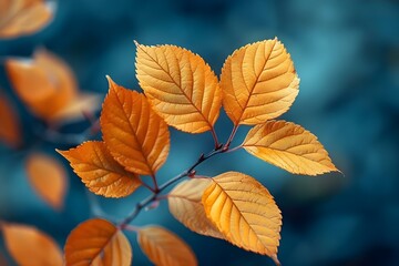 Autumn Harmony: Golden Leaves on Blue. Concept Nature's Canvas, Seasonal Splendor, Harmonious Hues, Tranquil Landscapes