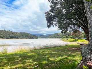  A Serene View of the Otahu River in Whangamata, Inviting Visitors to Relax and Immerse Themselves in the Natural Beauty of the Surroundings