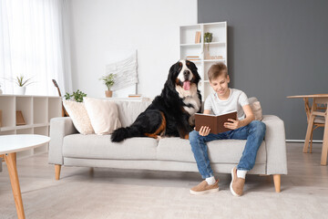 Little boy with Bernese mountain dog reading book on sofa at home - obrazy, fototapety, plakaty