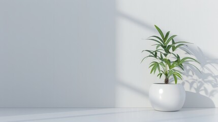 Single houseplant in a sleek pot 
