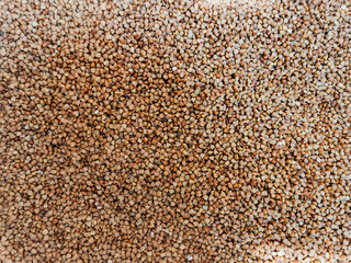 Buckwheat Grain Texture Background