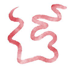 Watercolour Squiggly Lines Decorative