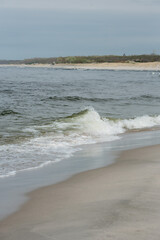The Baltic Sea coast
