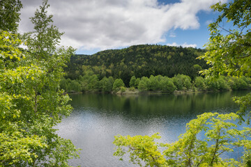 新緑の森と湖
