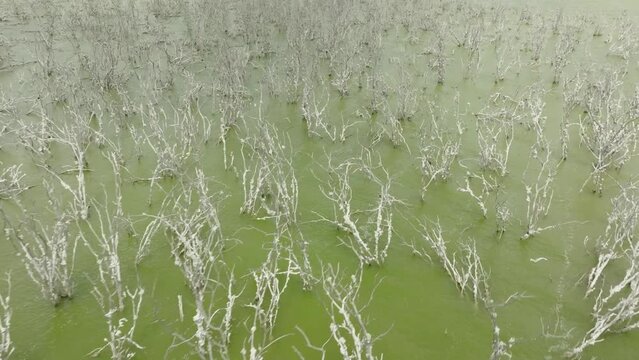Lago Enriquillo, Republica Dominicana