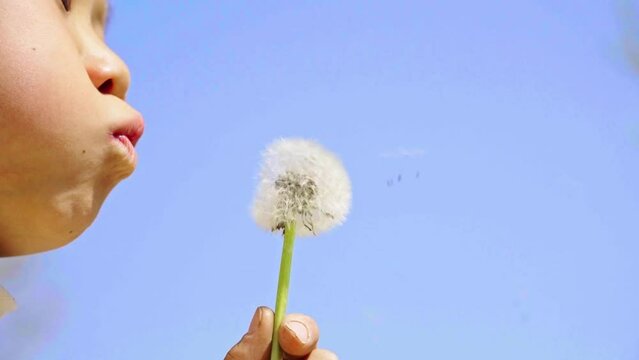 A Child Blowing A Dandelion, a little boy against the background of the sky blows