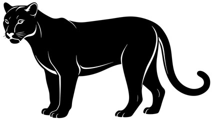 North American cougar vector illustration