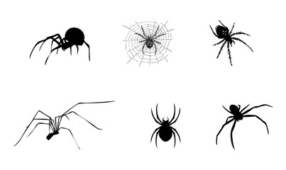 Aranea Spiders Vectors Icon Set