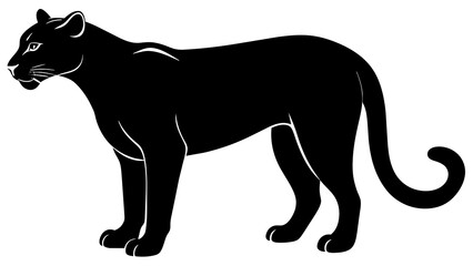 North American cougar vector illustration