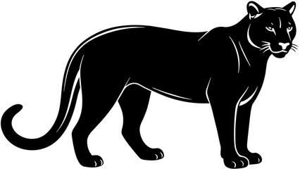 Obraz premium American couger and svg file