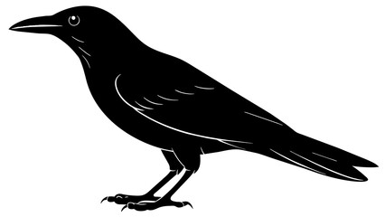  crow ,  bluebird and svg file