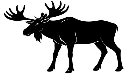 Fototapeta premium Moose vector art and illustration