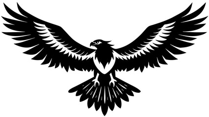 American   osprey bird