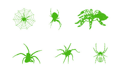 Aranea Spiders Vectors Icon Set