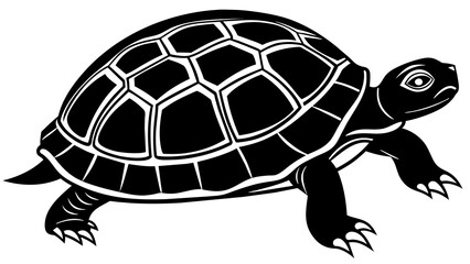 turtle and svg file