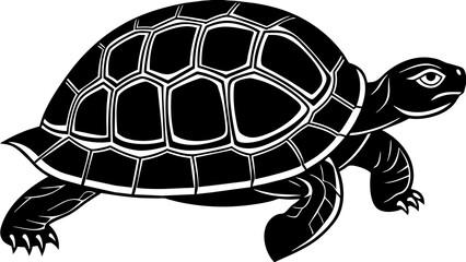 turtle and svg file
