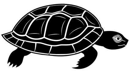 turtle and svg file