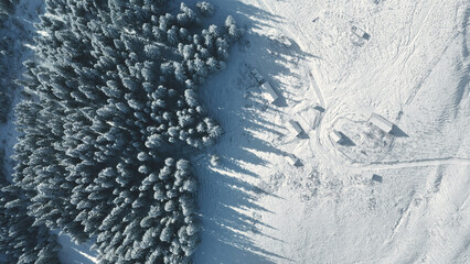 Top down aerial of snow mountain pine forest. Nobody nature landscape at winter day. Sun conifer wood at white snowy valley. Unknown Carpathian mount, Bukovel, Ukraine, Europe. Cinematic drone shot