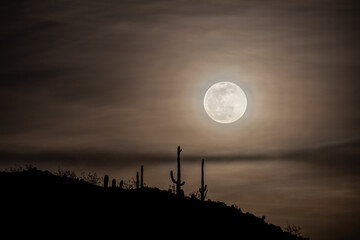 The full moon rising over a hill with saguaro cacti.