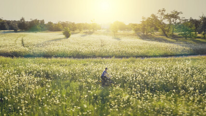 Aerial of young woman riding bicycle at dirt road. Sun green grass, flowers meadow. Summer nature...
