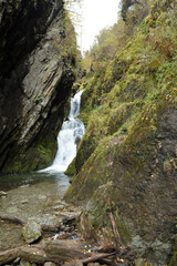 A narrow passage of a mountain river bed sandwiched between rocks and flowing down like a rapid waterfall in an autumn forest.