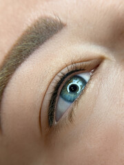 permanent eyeliner makeup close up. Healthy and clean skin young woman	
