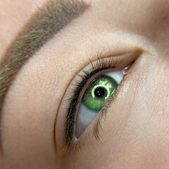 permanent eyeliner makeup close up. Healthy and clean skin young woman	
