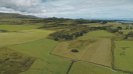 Green pastures, fields at pine forest aerial. Nobody nature landsape at summer day. Countryside farmland fields. Cinematic farm lands at port town Ellen, Islay Island, United Kingdom, Europe