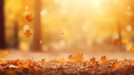 Crédence de cuisine en verre imprimé Couleur miel Beautiful autumn landscape with yellow trees and sun. Colorful foliage in the park. Falling leaves natural background