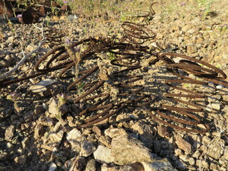 Rusty Old Springs at Abandoned Mine Site in Arizona Desert
