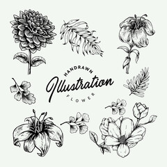 set of hand drawn flowers vector illustration  - obrazy, fototapety, plakaty