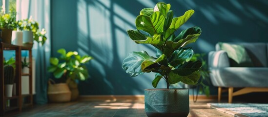 An indoor green plant in a pot placed on a wooden floor in a cozy room setting